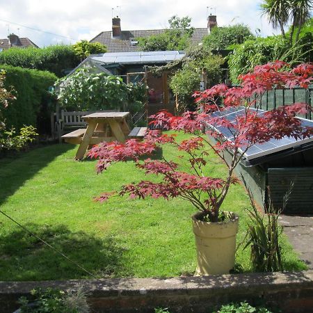Perfect For Petersfield B&B Esterno foto