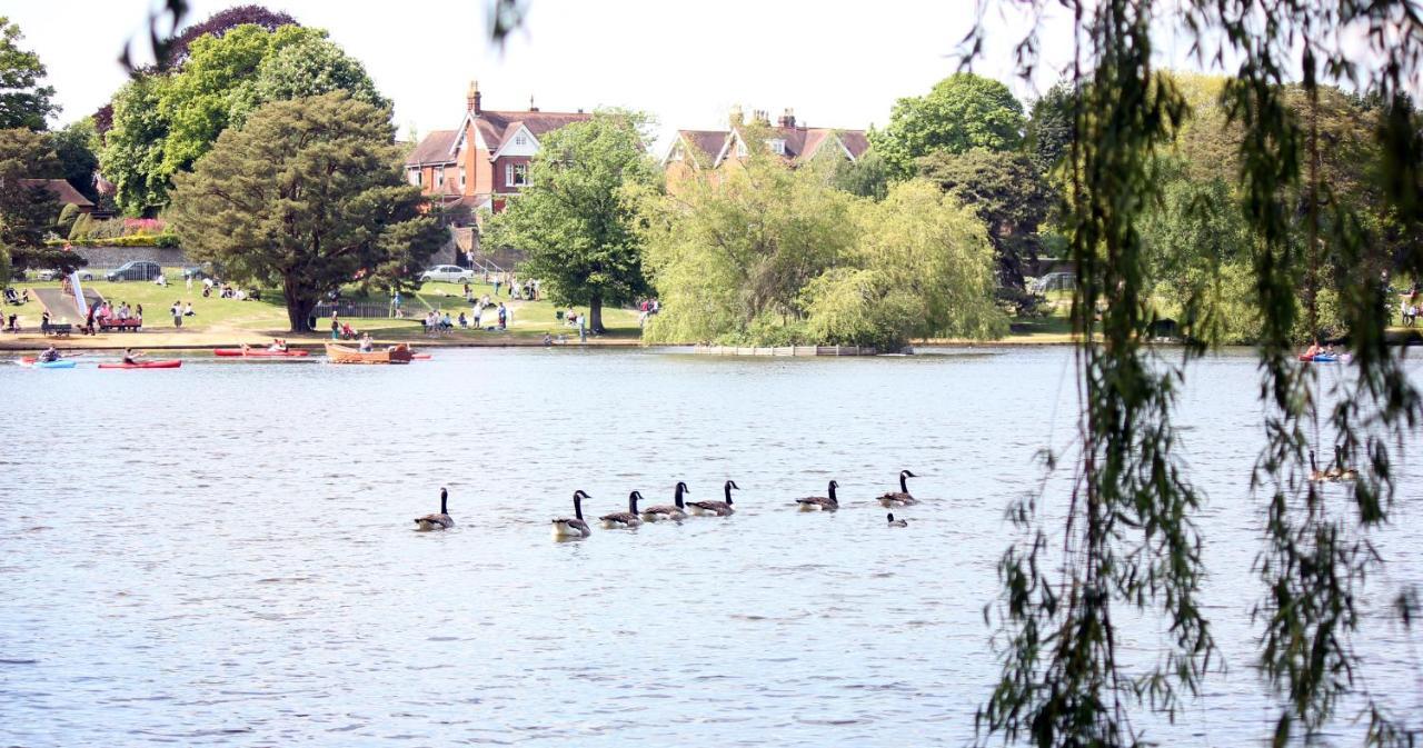 Perfect For Petersfield B&B Esterno foto